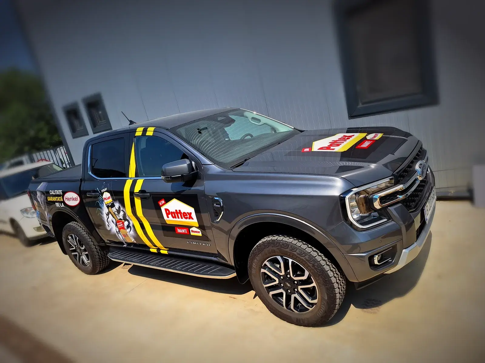 Pickup cu dungi personalizate