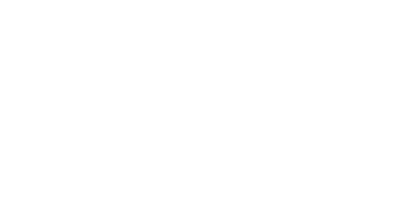 Optimal Solutions